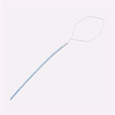 Polypectomy snare ionscópach